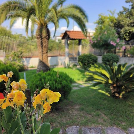 Apartament I Giardini Di Plinio - Elegante E Luminoso. Boscoreale Zewnętrze zdjęcie